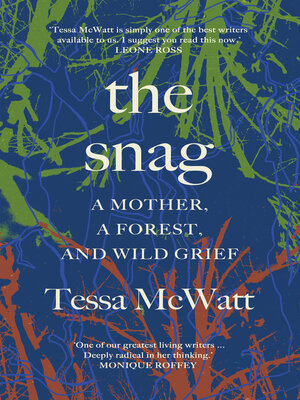 cover image of The Snag